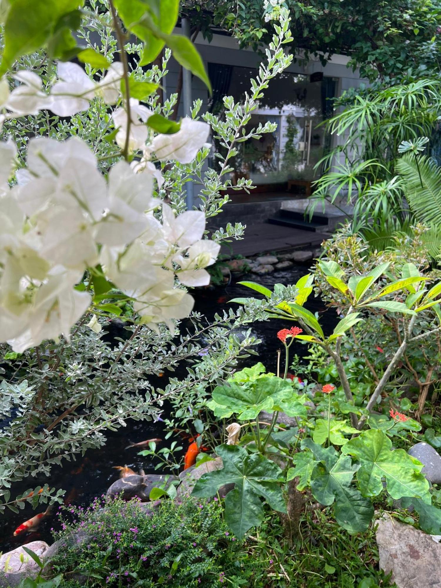 Window Homestay Kon Tum Buitenkant foto